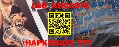 бошки Можга