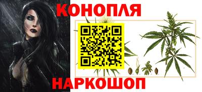 прущие грибы Мариинск