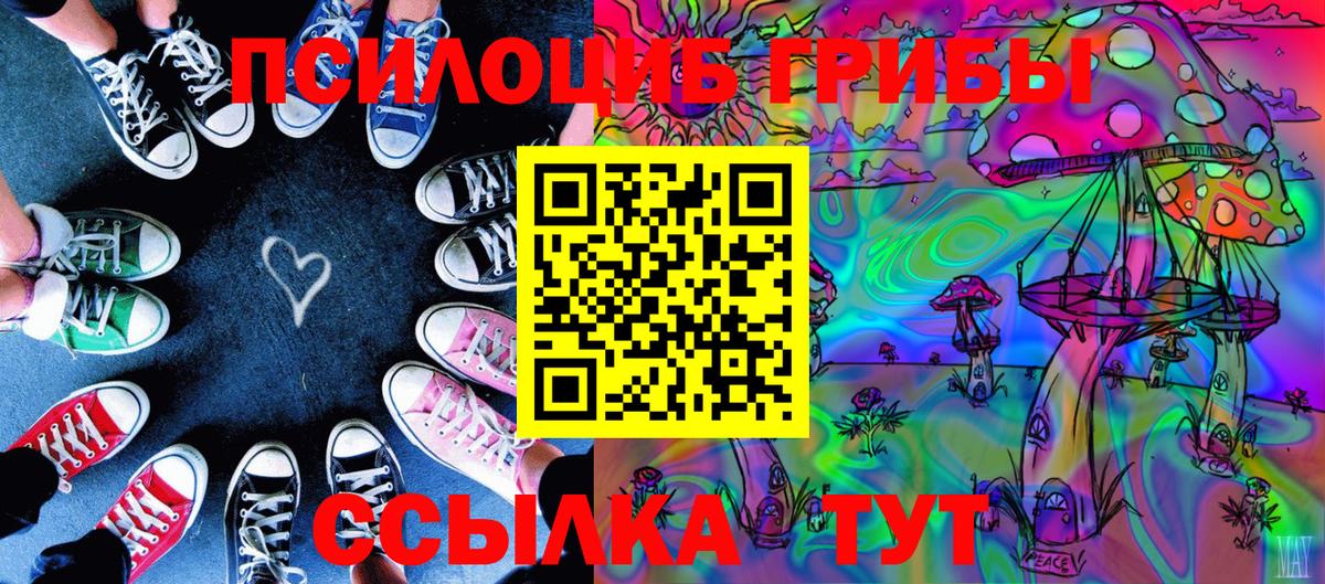 Псилоцибиновые грибы Cubensis Улан-Удэ